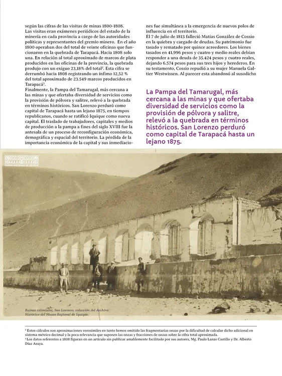 PAGINAS IN SITU PNG11