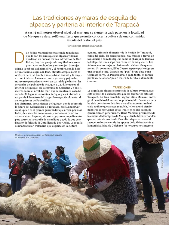 PAGINAS IN SITU 68 MEDIA3