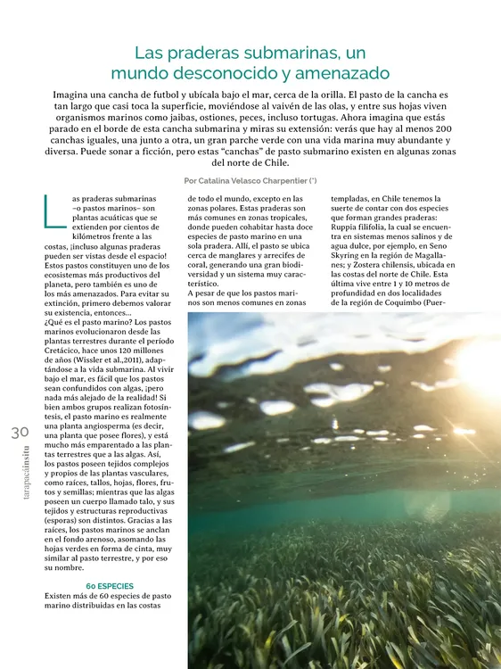 PAGINAS IN SITU 68 MEDIA30