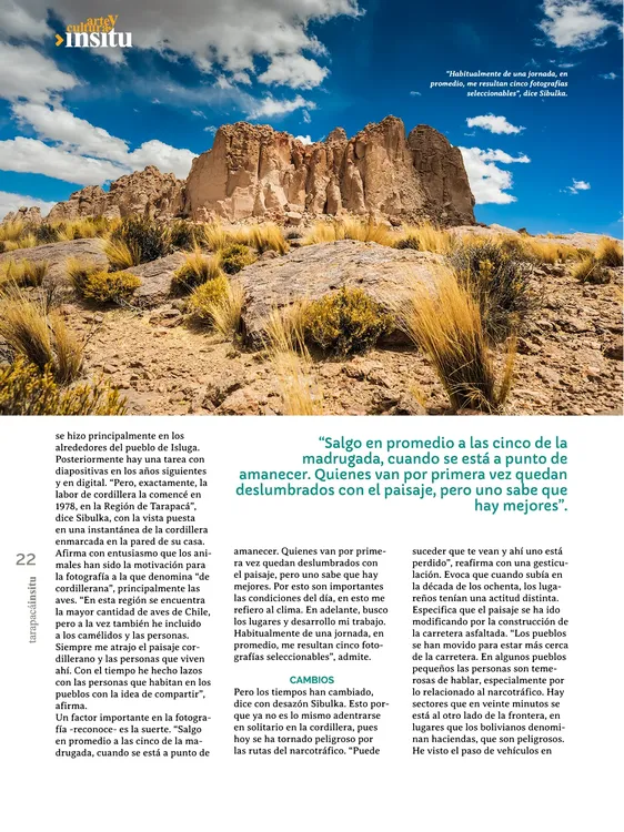 PAGINAS IN SITU 56 IMPRENTA22