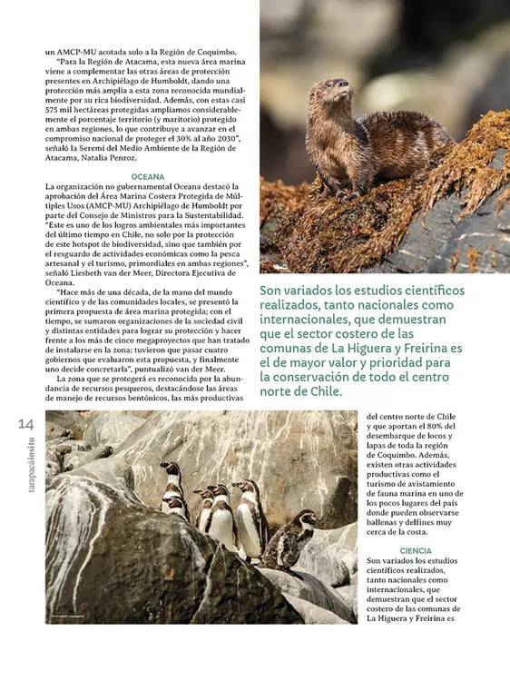 Tarapacá Insitu ed53 - Página 14