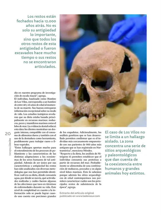 Tarapaca Insitu ed81_PNG20