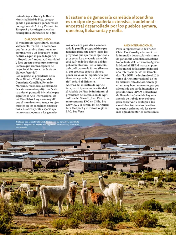 PAGINAS IN SITU PNG5