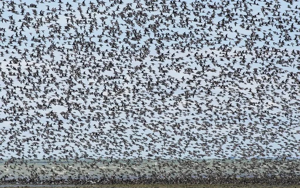 BahiaLomas_3_Antonio-Larrea-1