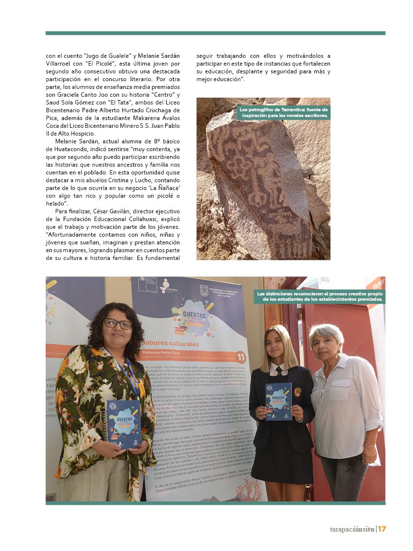 Revista Tarapacá Insitu ed49 - Página17