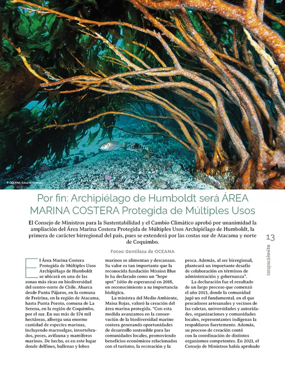 Tarapacá Insitu ed53 - Página 13