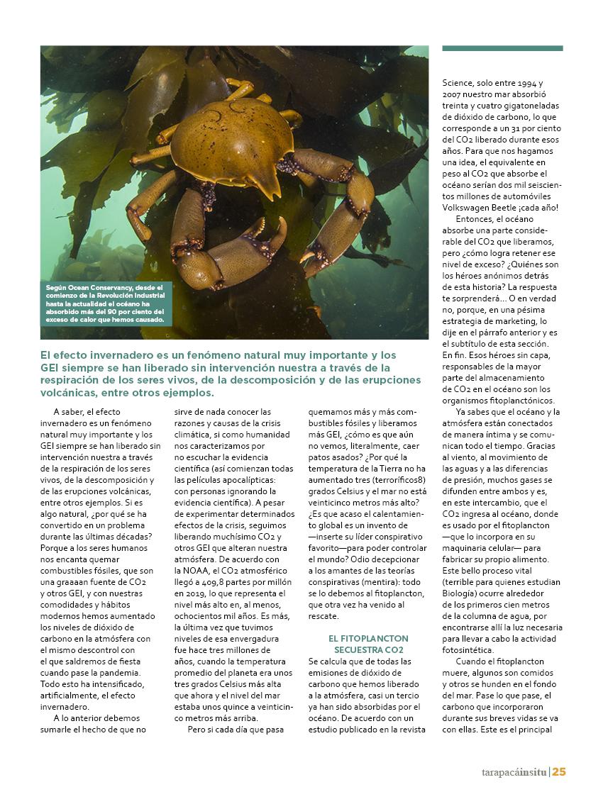 Revista Tarapacá Insitu ed45 - Página25