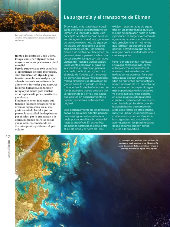 PAGINAS INSITU 72 PNG12