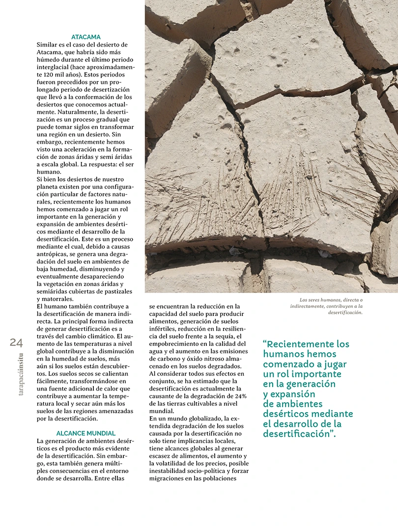 Revista Tarapacá Insitu ed 55 - Página 24