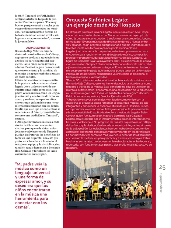 PAGINAS IN SITU 68 MEDIA25