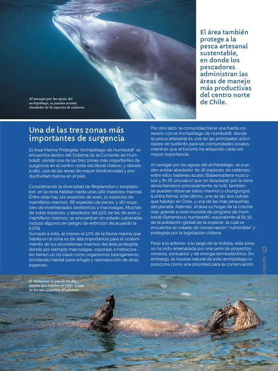 PAGINAS IN SITU PNG9