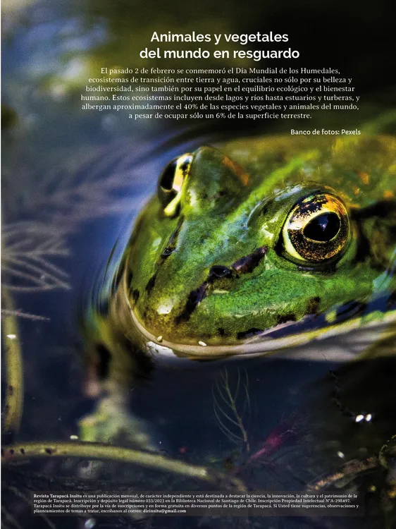 PAGINAS IN SITU 59 MEDIA3