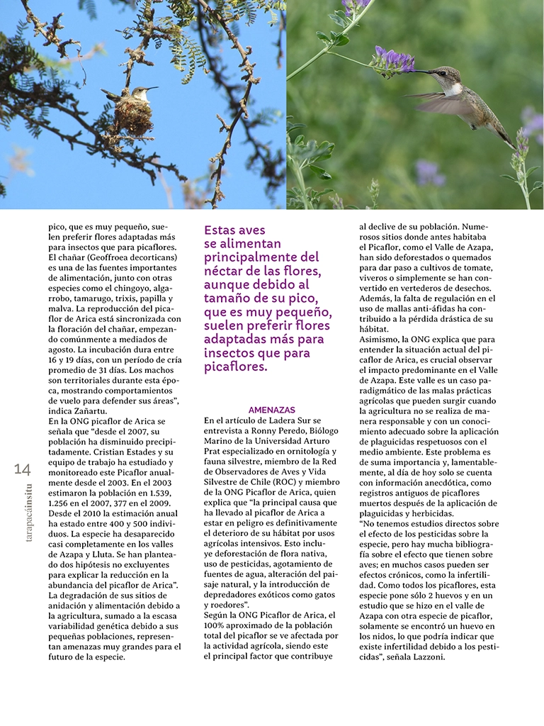 PAGINAS IN SITU 65 P14