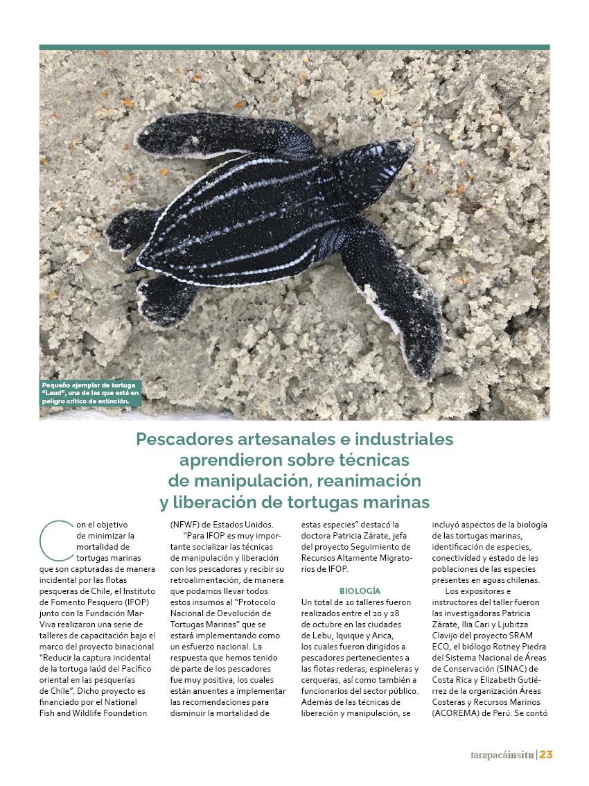 Revista Tarapacá Insitu Ed44 - Página23