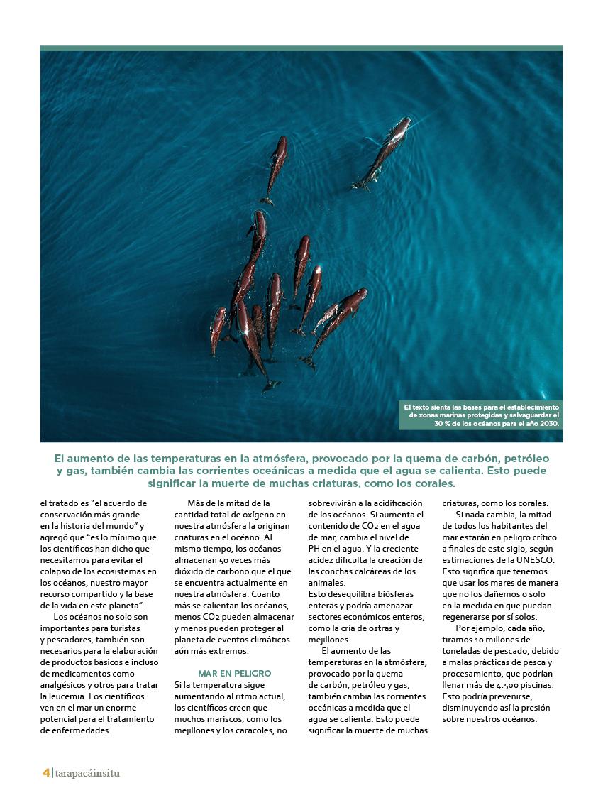 Revista Tarapacá Insitu ed48 - página4