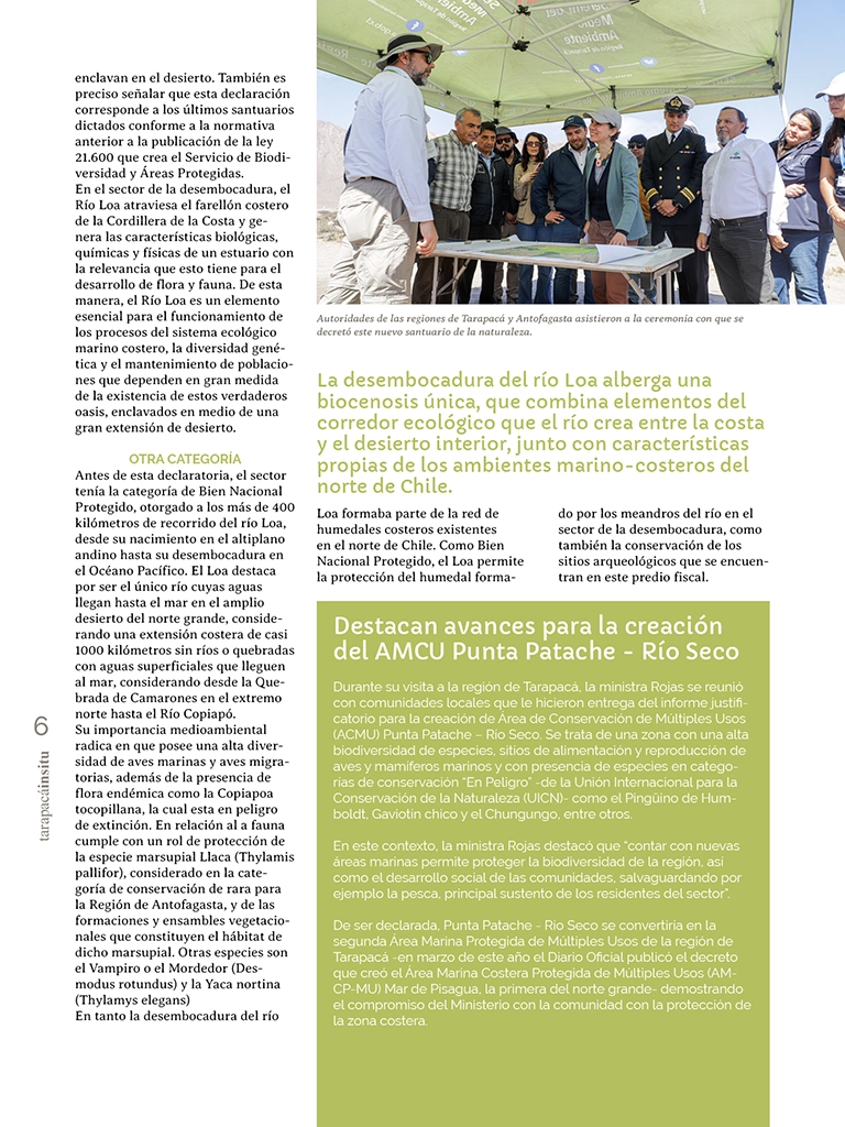 PAGINAS IN SITU 65 P6