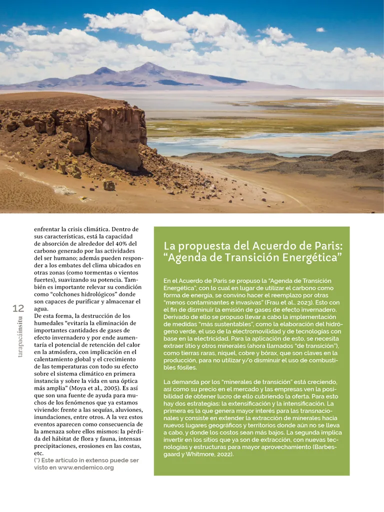 PAGINAS IN SITU 67 ALTA12
