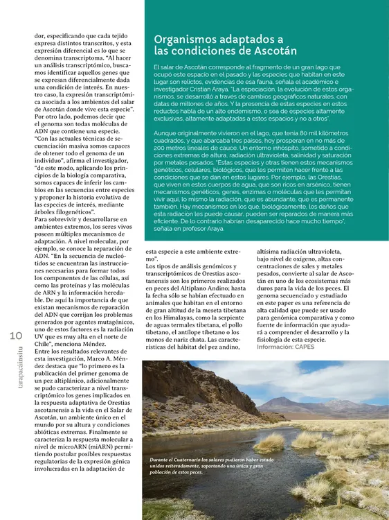 PAGINAS IN SITU 63 BAJA10