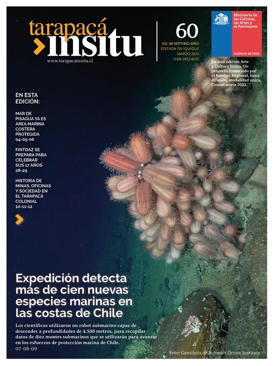PAGINAS IN SITU 60 BAJA