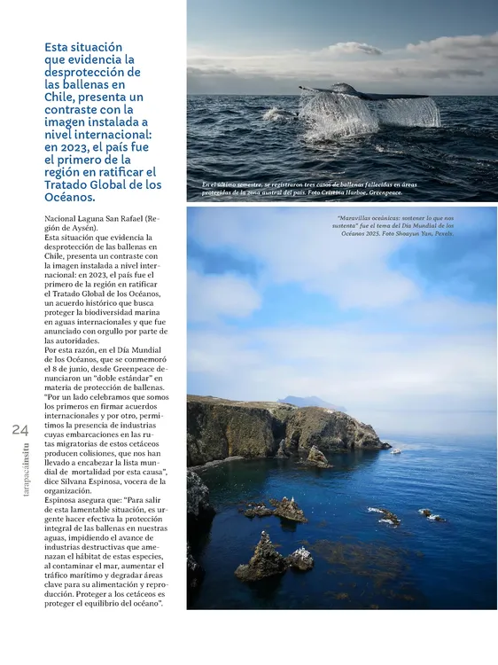 PAGINAS INSITU 74 MEDIA_Página_24