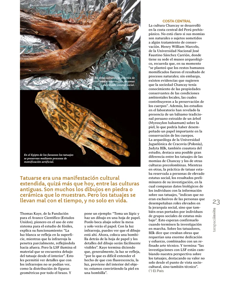 PAGINAS INSITU 71 MEDIA23