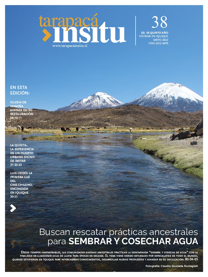 Revista Tarapacá Insitu Edición 38 - Portada