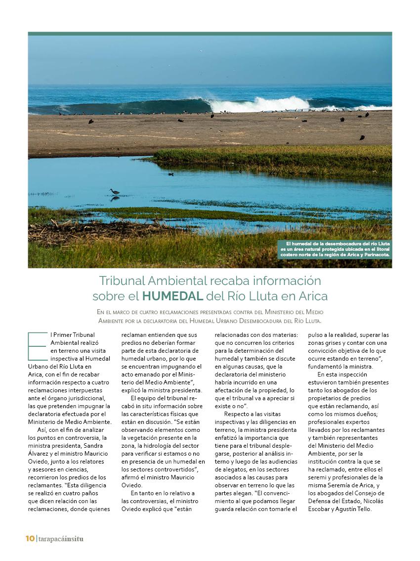 Revista Tarapacá Insitu Ed44 - Página10