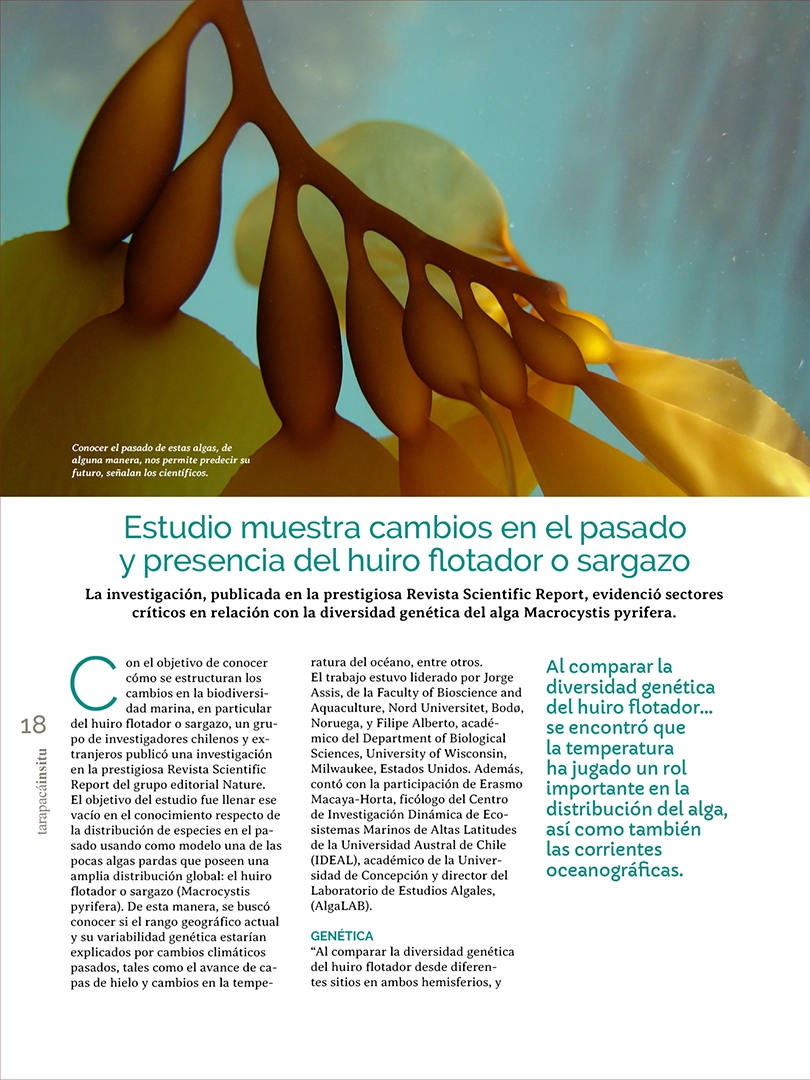 Revista Tarapacá Insitu ed 55 - Página 18