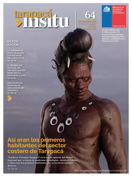 PAGINAS IN SITU 64 MEDIA