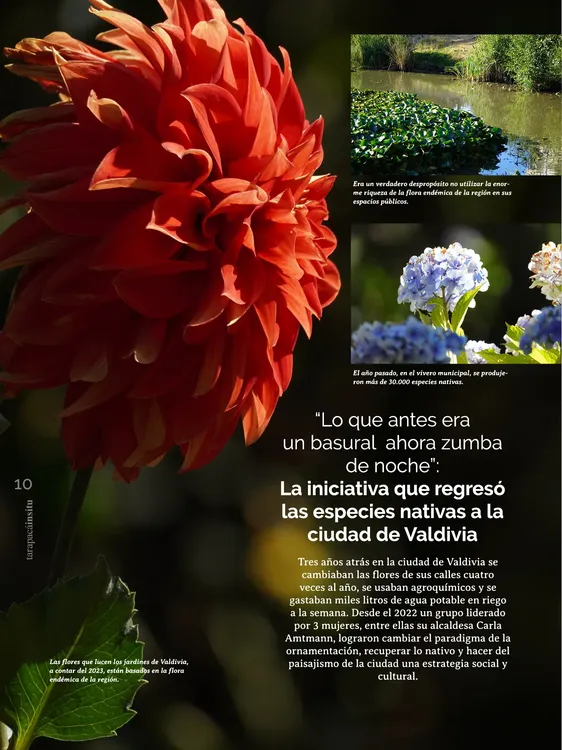 PAGINAS IN SITU 59 MEDIA10