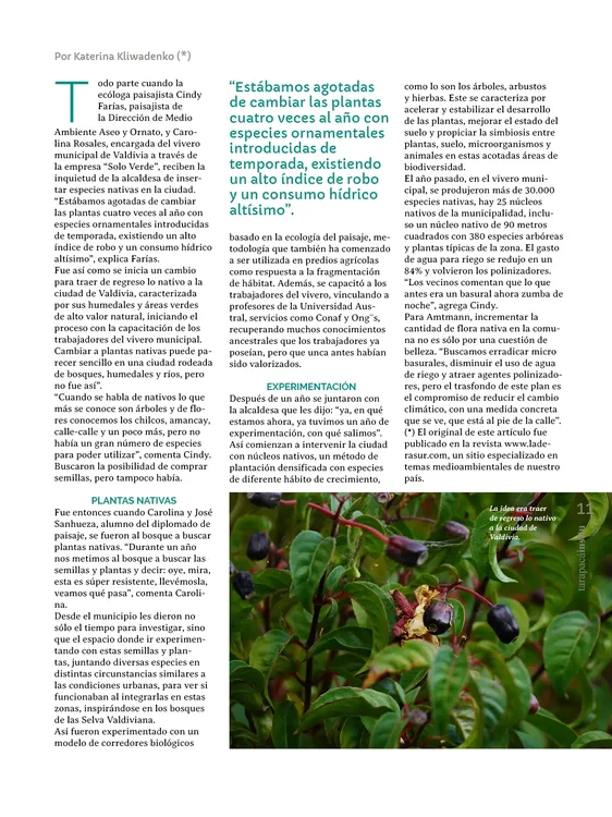 PAGINAS IN SITU 59 MEDIA11