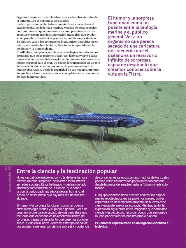 PAGINAS INSITU 78 PNG20