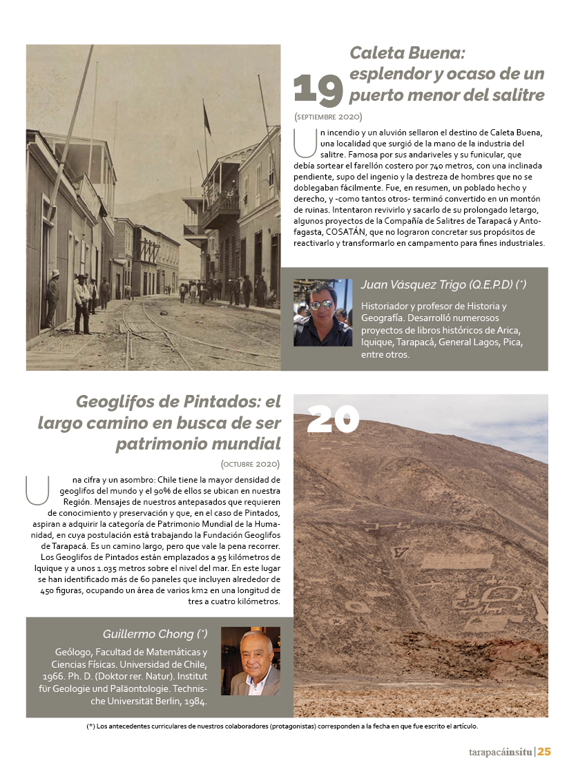 Revista Tarapacá Insitu ed50 - Página 25