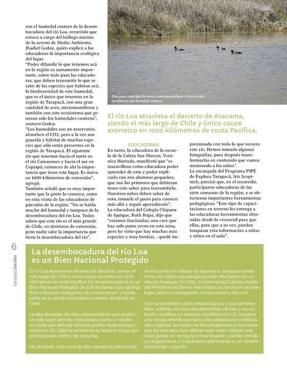 PAGINAS IN SITU 63 BAJA6