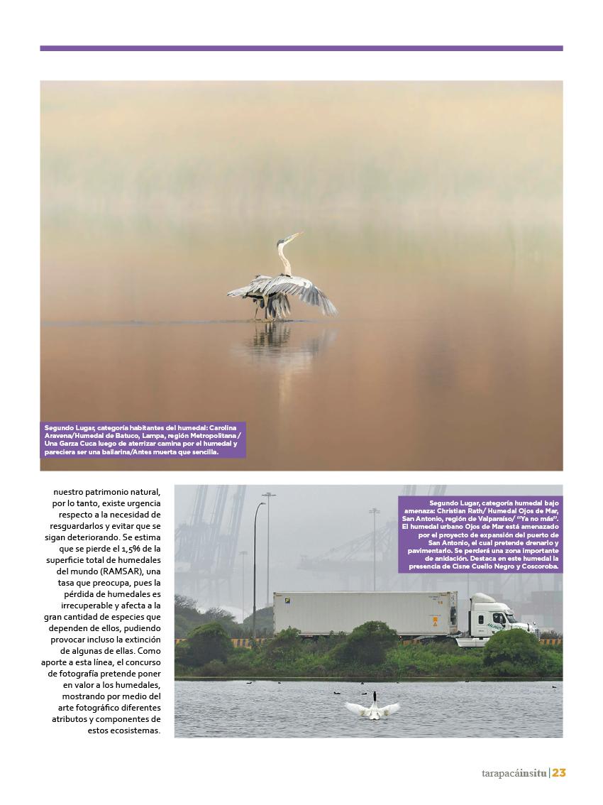 Revista Tarapacá Insitu Ed46 - Página 023