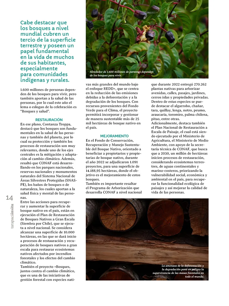 PAGINAS INSITU 71 MEDIA14