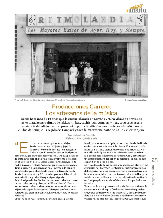 PAGINAS IN SITU PNG25