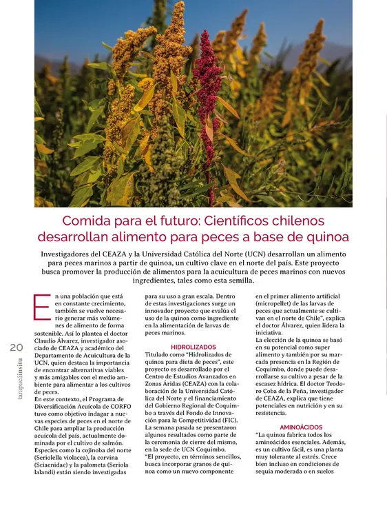 PAGINAS INSITU 72 PNG20
