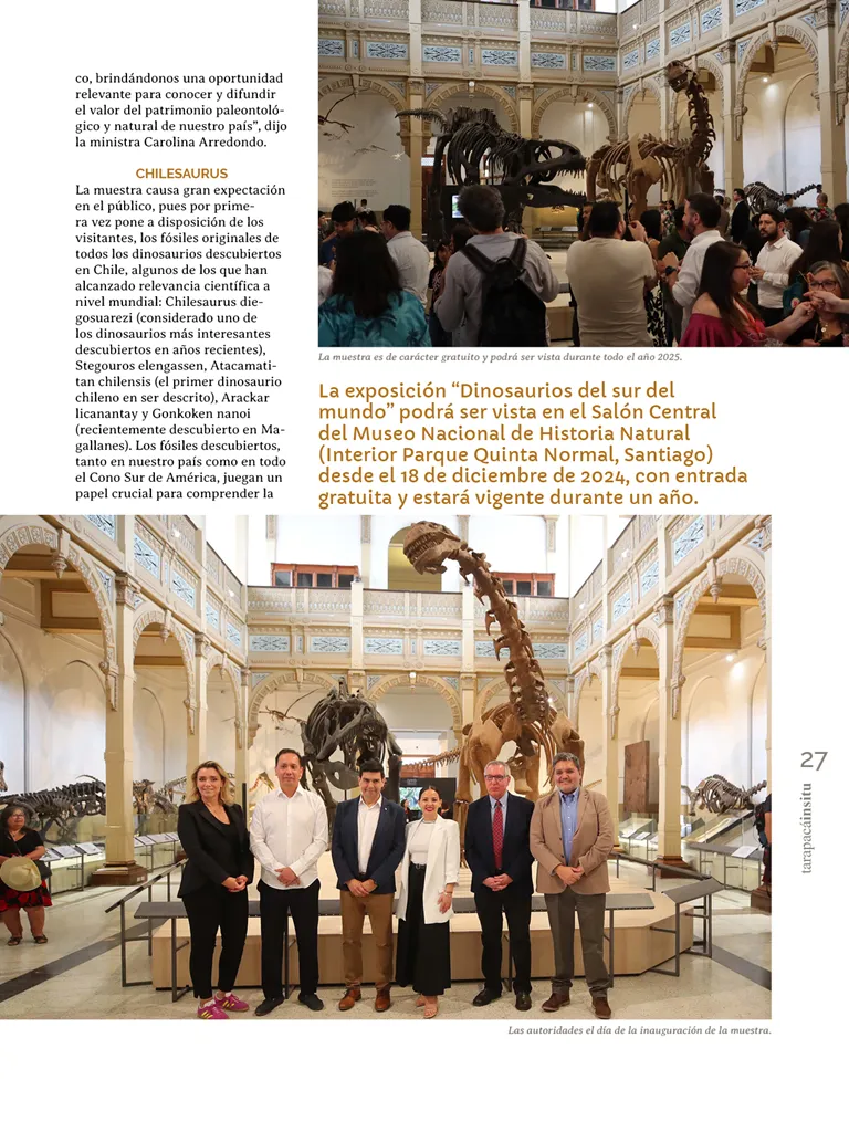 PAGINAS INSITU 71 MEDIA27