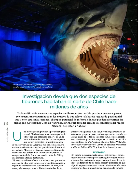 PAGINAS IN SITU 56 IMPRENTA18