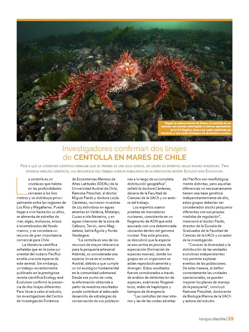 Revista Tarapacá Insitu Ed44 - Página25