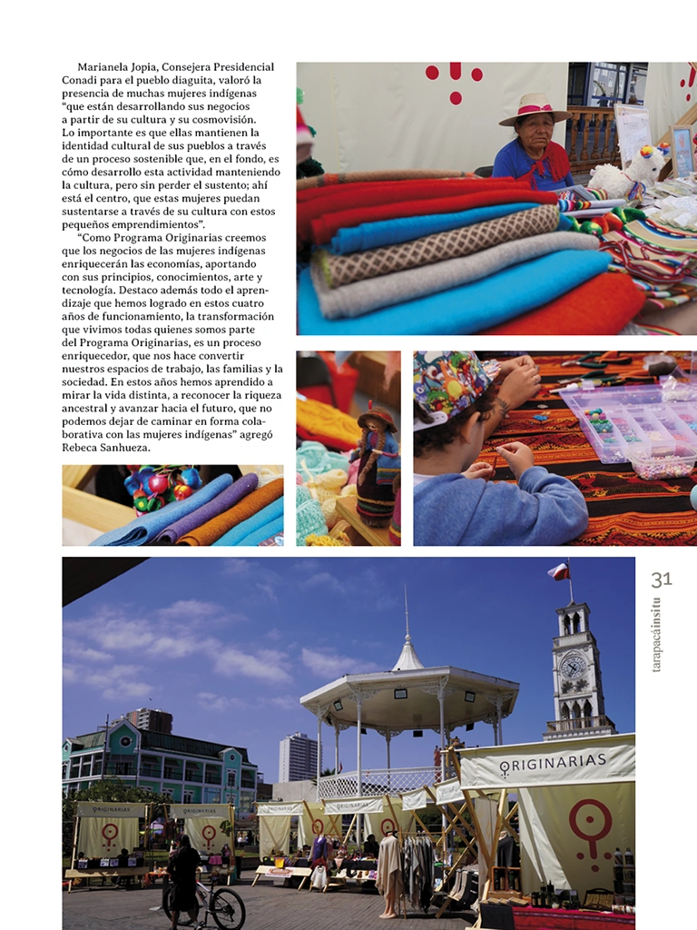Revista Tarapacá Insitu ed54 - Página31