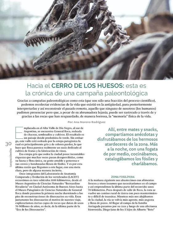 Tarapacá Insitu ed53 - Página 30