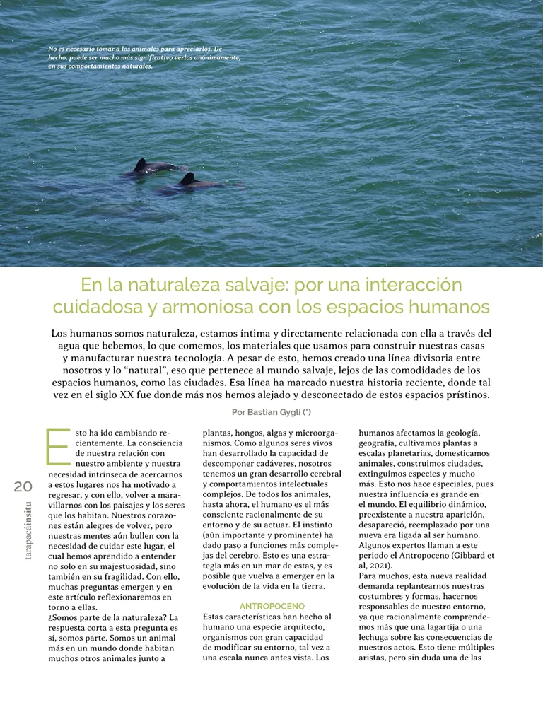 PAGINAS IN SITU 66  PNG20