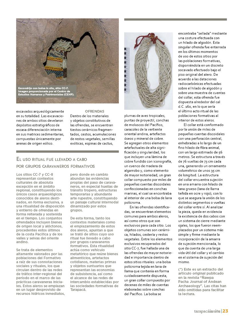 Revista Tarapacá Insitu ed45 - Página23