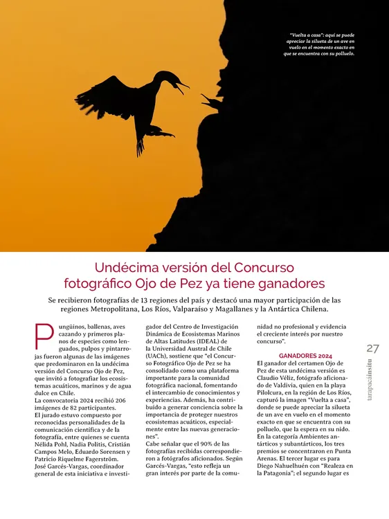 PAGINAS IN SITU 68 MEDIA27