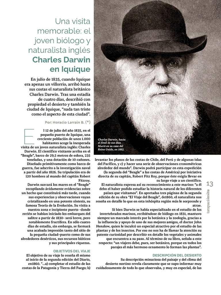 Revista Tarapacá Insitu ed52 - Página 13