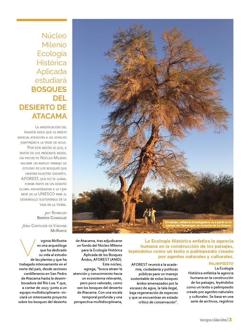 Revista Tarapacá Insitu ed45 - Página3