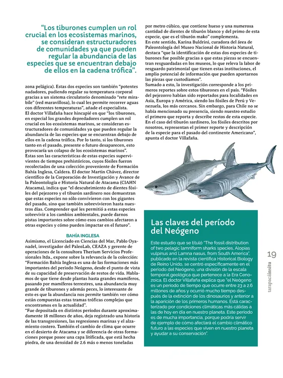 PAGINAS IN SITU 56 IMPRENTA19