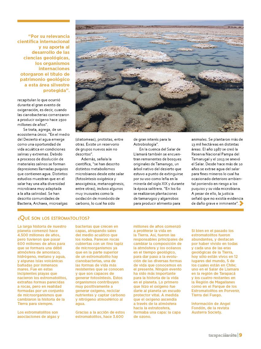 Revista Tarapacá Insitu Ed44 - Página9